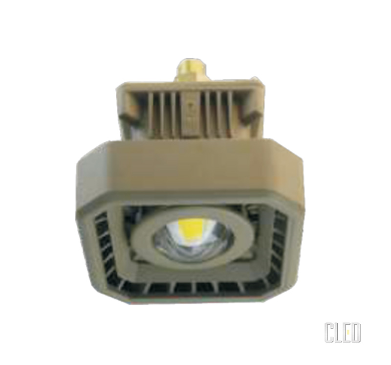 CLED-EPL09 LED防爆灯